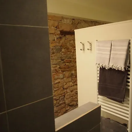 Apartman Terrasse Privee Du Vieux